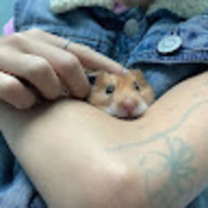 Meet your Posher, Cara